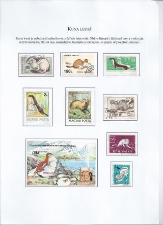Žili a žijí v přírodě – list 8