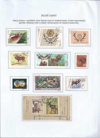 Žili a žijí v přírodě – list 17