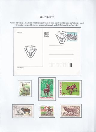 Žili a žijí v přírodě – list 18