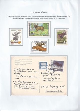 Žili a žijí v přírodě – list 20
