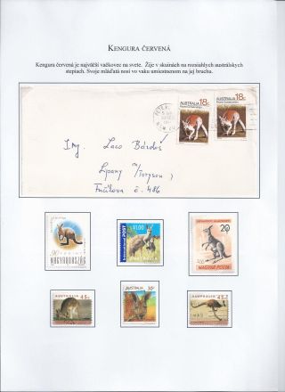 Žili a žijí v přírodě – list 23
