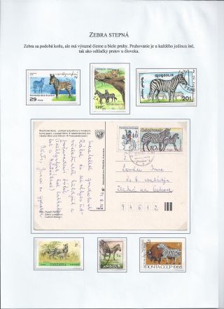 Žili a žijí v přírodě – list 26