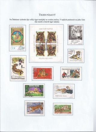 Žili a žijí v přírodě – list 28