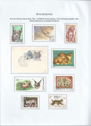 Žili a žijí v přírodě – list 42