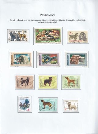 Žili a žijí v přírodě – list 43