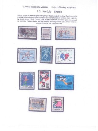 ICE HOCKEY – sheet 11