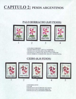 ARGENTINIAN FLORA – sheet 10