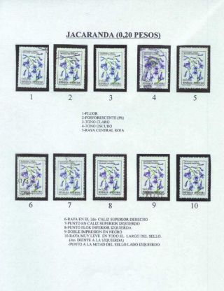 ARGENTINIAN FLORA – sheet 11