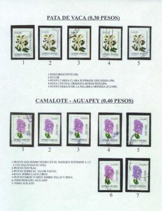 ARGENTINIAN FLORA – sheet 13
