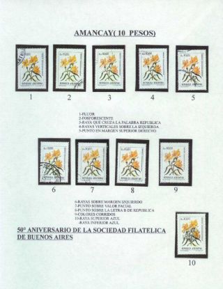 ARGENTINISCHE FLORA – Blatt 20