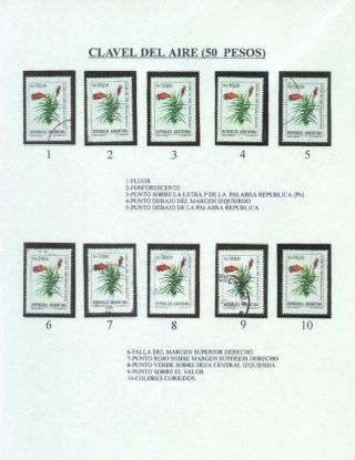 ARGENTINISCHE FLORA – Blatt 23