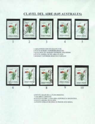 ARGENTINISCHE FLORA – Blatt 30