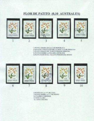 ARGENTINISCHE FLORA – Blatt 32
