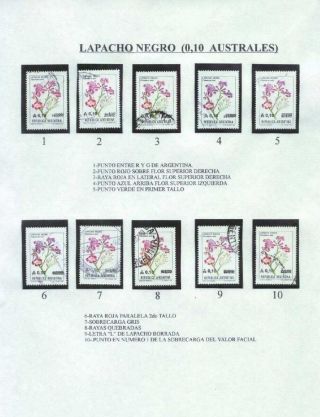 ARGENTINIAN FLORA – sheet 33