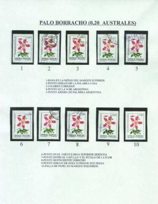 ARGENTINIAN FLORA – sheet 34