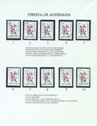 ARGENTINIAN FLORA – sheet 41