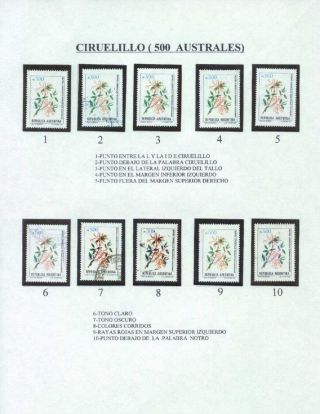 ARGENTINIAN FLORA – sheet 45