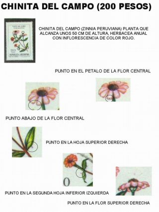 ARGENTINIAN FLORA – sheet 50