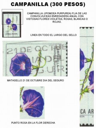 ARGENTINIAN FLORA – sheet 51