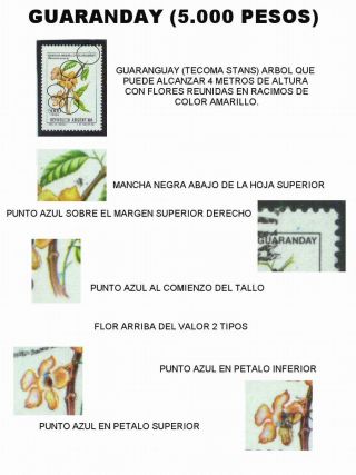 ARGENTINIAN FLORA – sheet 53