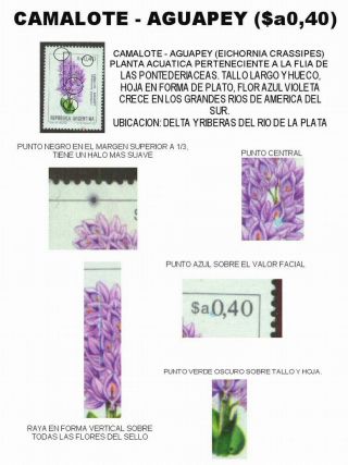 ARGENTINIAN FLORA – sheet 56