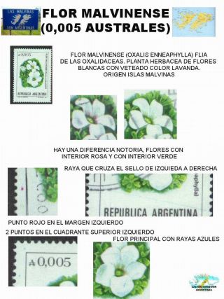 ARGENTINIAN FLORA – sheet 59
