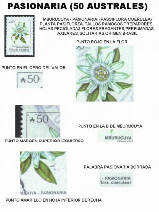 ARGENTINIAN FLORA – sheet 62