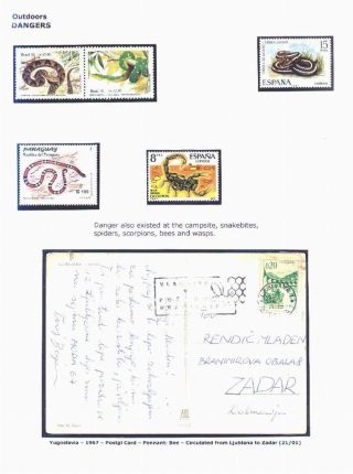 ERINNERUNGEN AN PFADFINDER-HALSTUCH – Blatt 66
