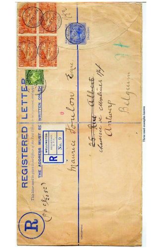 NEUSEELAND - GANZSACHEN 1876-1940 – Blatt 101