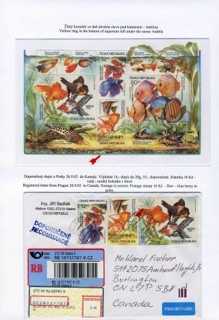 CZECH REPUBLIC 2003, BREEDING: AQUARIUM FISH – sheet 11