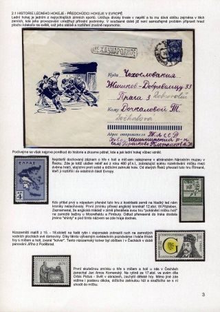 FOR THE ICE HOCKEY PRIMARY – sheet 3