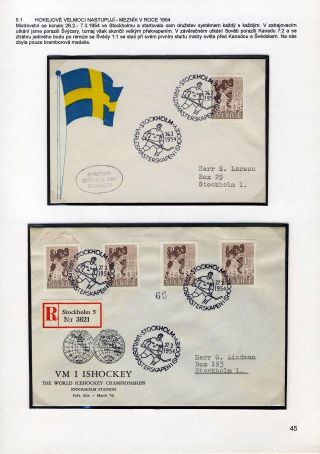 FOR THE ICE HOCKEY PRIMARY – sheet 45