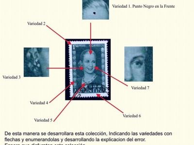 ARGENTINA: VARIETIES AND FLAWS