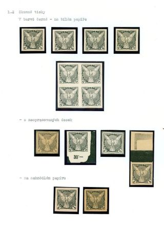 CZECHOSLOVAKIA - NEWSPAPER STAMPS 1918-1920 – sheet 4