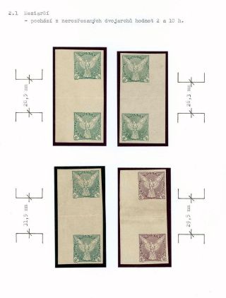 CZECHOSLOVAKIA - NEWSPAPER STAMPS 1918-1920 – sheet 8