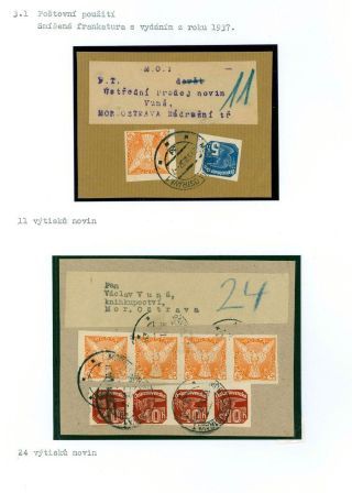 CZECHOSLOVAKIA - NEWSPAPER STAMPS 1918-1920 – sheet 13