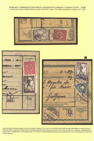 DRŽAVA S.H.S.: PROVIZORIA NA ZNÁMKÁCH BOSNY A HERCEGOVINY 1918-1920 – list 5