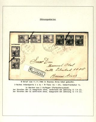 POSTKLASICKÁ VYDÁNÍ ARGENTINY 1867-1890 – list 486