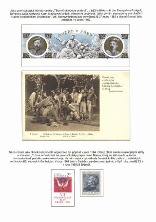 NO PROFIT, NO GLORY! – sheet 10