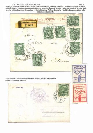 NO PROFIT, NO GLORY! – sheet 11