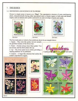 A THING OF BEAUTY IS A JOY FOREVER – sheet 3