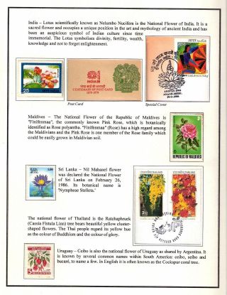 KRÁSA JE RADOST NAVŽDY – list 36