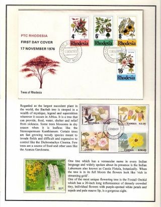 KRÁSA JE RADOST NAVŽDY – list 47