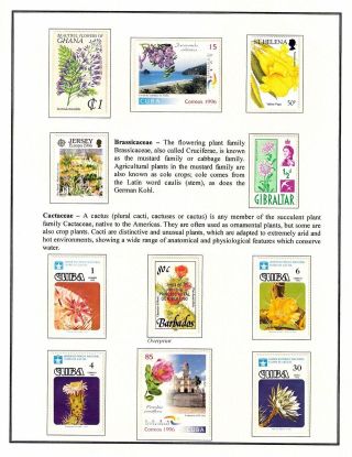 KRÁSA JE RADOST NAVŽDY – list 53
