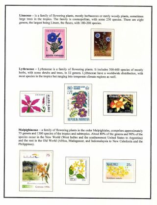 KRÁSA JE RADOST NAVŽDY – list 63