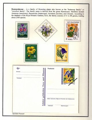 KRÁSA JE RADOST NAVŽDY – list 77