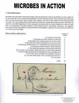MICROBES IN ACTION – sheet 1
