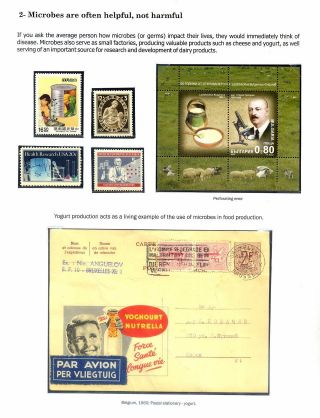 MICROBES IN ACTION – sheet 2