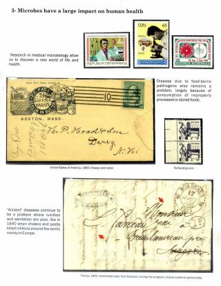 MICROBES IN ACTION – sheet 4