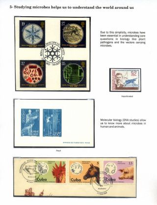 MICROBES IN ACTION – sheet 7